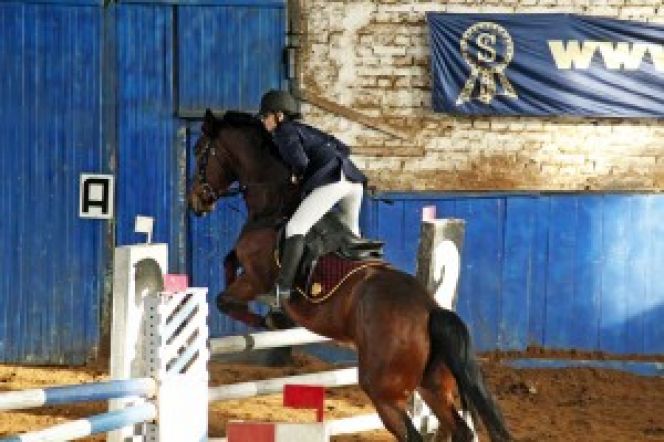 Алтайские конники привезли 23 личных медали и 5 командных кубков с чемпионата и первенства СФО в помещении (фото).