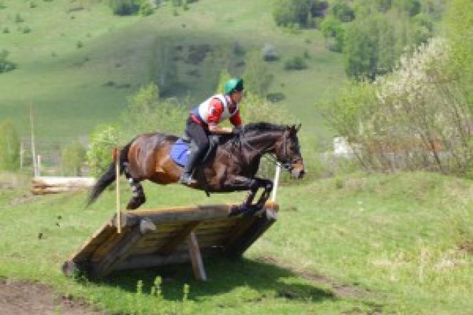 Среди конников Алтайского края появился ещё один мастер спорта – шестой в истории конного спорта в нашем регионе.