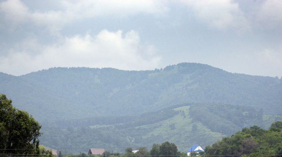 Фото: Евгений Налимов