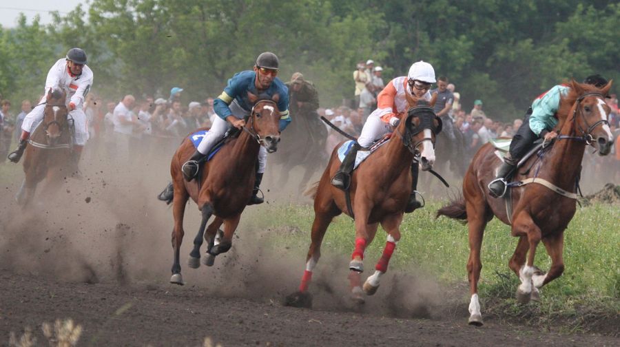 Фото: Евгений Налимов