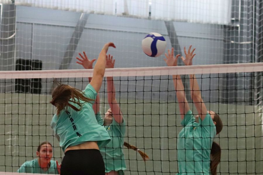 Фото: Олег Харлов / «Алтайский спорт»