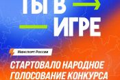 Началось народное голосование за участников Всероссийского конкурса "Ты в игре". Алтайский край представлен пятью проектами