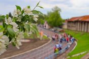В Усть-Пристани состоялся краевой турнир памяти Героя Советского Союза Александра Птухина (фото)