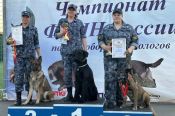 Сотрудники УФСИН России по Алтайскому краю стали победителями и призерами чемпионата ФСИН России по многоборью кинологов