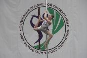 Вертикальная гимнастика. В Барнауле прошёл первый чемпионат Алтайского края 