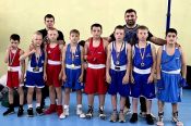 В Новоалтайске подвели итоги юношеского краевого турнира памяти сотрудников МЧС