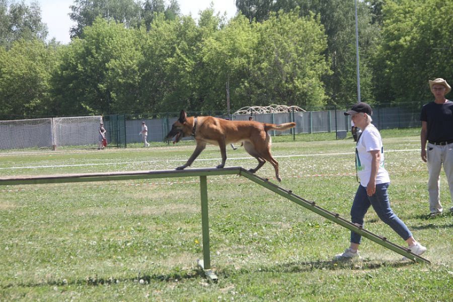 Фото: Ярослав Махначёв/"Вечерний Барнаул"
