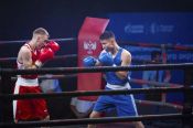 Отличный КПД! На чемпионате Сибири в Омске сборная Алтайского края стала третьей в командном зачете, завоевав семь медалей