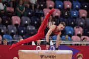 Сергей Найдин поборется за медали чемпионата России в вольных упражнениях, на коне, брусьях и перекладине 