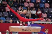 Пока приз симпатий. В первый день финалов чемпионата России на отдельных снарядах Сергей Найдин четвёртый на коне
