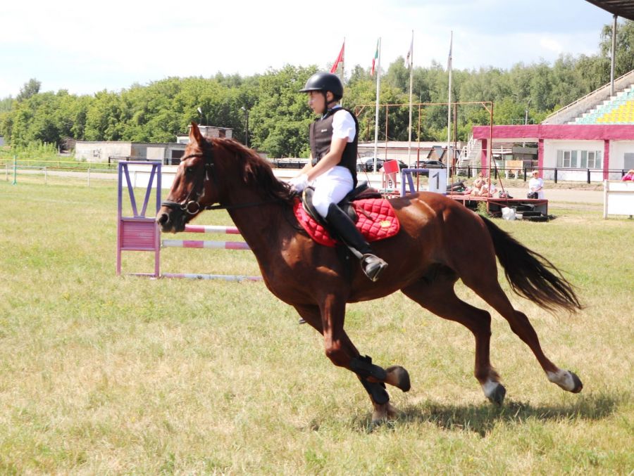 Фото: Вадим Вязанцев / Алтайский спорт