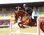В Барнауле состоялись чемпионат и первенство края по конкуру (фото)