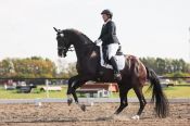 Алтайские всадники успешно выступили на чемпионате и первенстве СФО по выездке