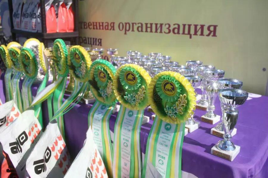 Фото: Ярослав Махначёв/"Вечерний Барнаул"