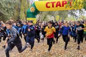 «Кросс нации-2026» в Рубцовске: почти 1000 участников, холодный ветер и шоколадки на финише!