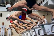 Спортсмены региона завоевали 16 золотых медалей на чемпионате и первенстве СФО в Новосибирске