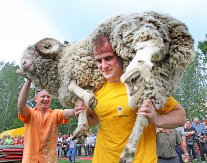 Наградой батыру – баран    