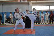 В Барнауле прошли первенство и чемпионат Сибирского федерального округа по стилевому каратэ в разделе спортивное контактное каратэ.