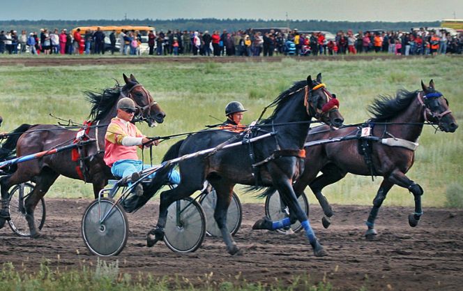 4-7 июля. с. Краснощёково. Финальные соревнования XXXV летней Олимпиады сельских спортсменов Алтая.