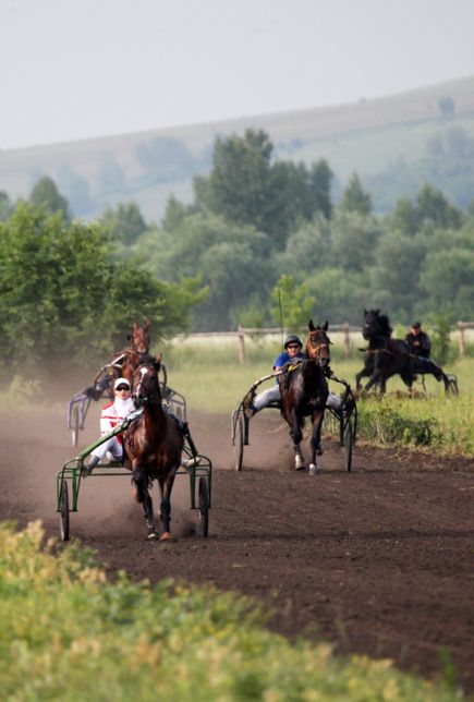 На трижды алтайской земле