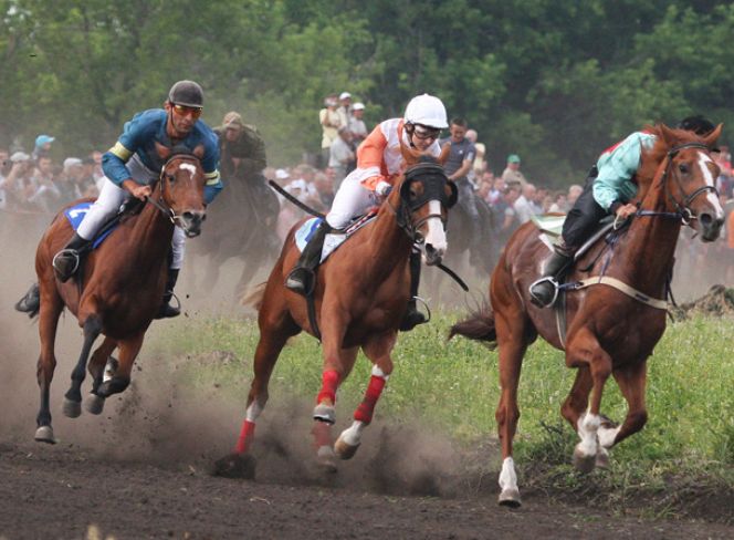 3-4 августа. Барнаул. Ипподром. Кубок Губернатора Алтайского края и Всероссийский фестиваль орловского рысака «Сибирь-2019»