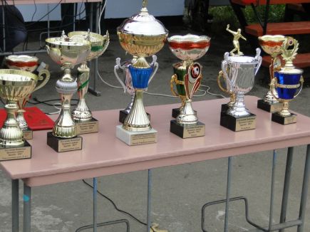 Финальные соревнования районной олимпиады прошли в Целинном районе (фото). 