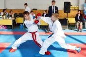 В Бийске разыграли Открытый Кубок Алтайского края по каратэ WKF