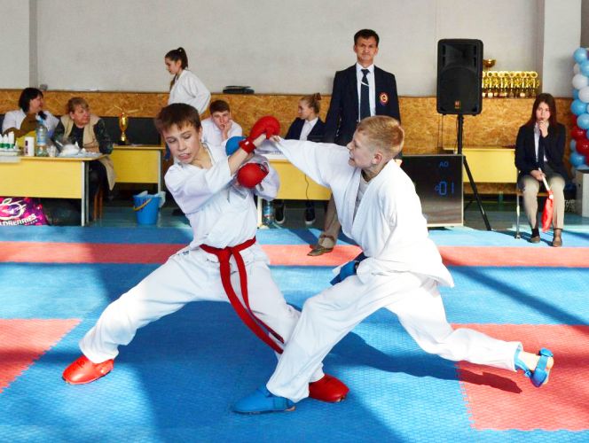  В Бийске разыграли Открытый Кубок Алтайского края по каратэ WKF