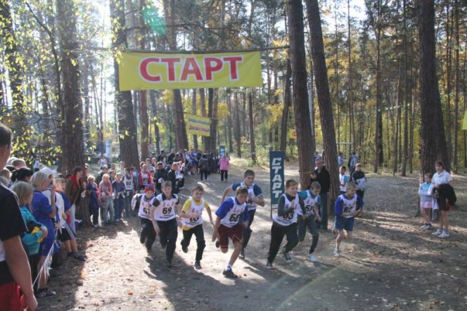 Догонялки в лесу