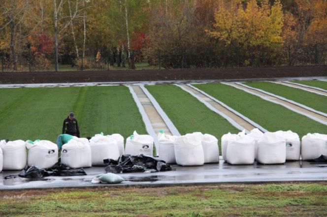 Не надо грязи!