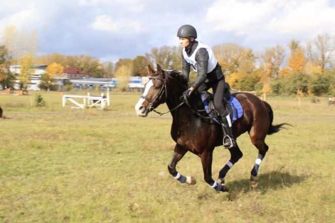 Алтайские конники - победители чемпионата Сибирского федерального округа по троеборью.