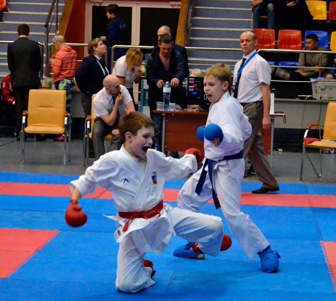Алтайские каратисты выиграли 17 медалей на межрегиональном турнире в Кемерове