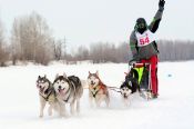 База спортшколы имени Константина Костенко приняла этап Кубка России по гонке на собачьих упряжках