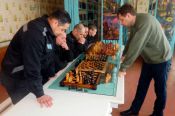 В ИК-5 УФСИН России по Алтайскому краю прошёл сеанс одновременной игры в шахматы