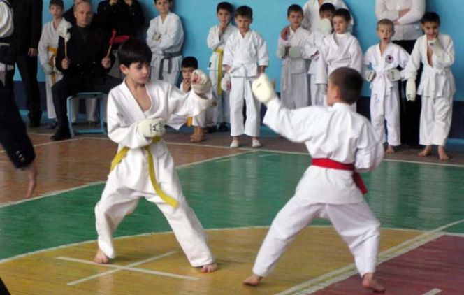 22-23 января. Чемпионат СибФО по каратэ и Международный турнир по каратэ "Алтайский медведь"