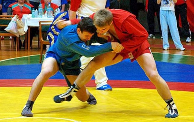 15-17 ноября. Барнаул. КБСС «Метелица». Чемпионат и первенство Алтайского края.