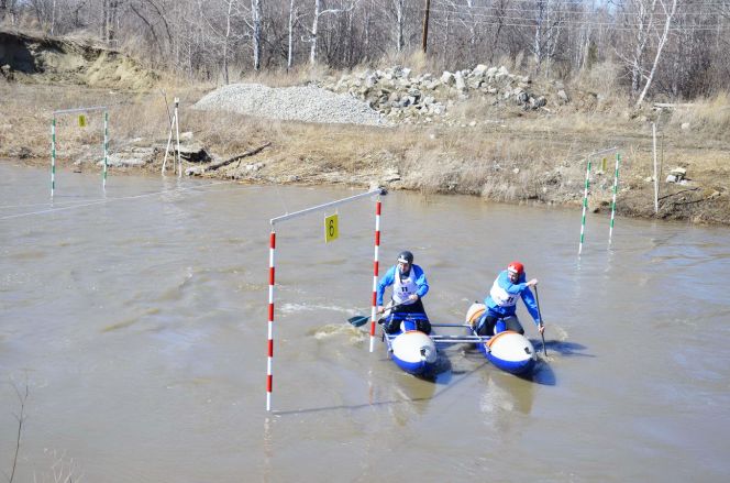 Алтайский край, Первомайский район. «Лосиные игры - 2018», часть 1. Фото: Андрей Дудник.