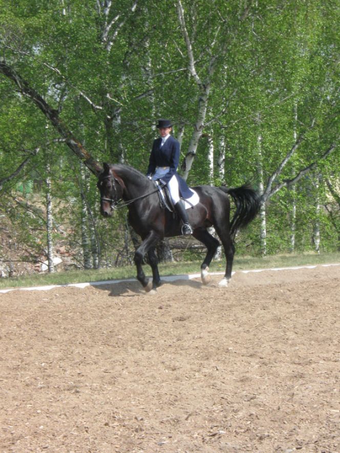 Барнаульские конники вернулись домой с чемпионата и Первенства Сибирского федерального округа по выездке.