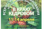 Бийские гимнасты выиграли 11 медалей на Всероссийских соревнований «В краю кедровом»