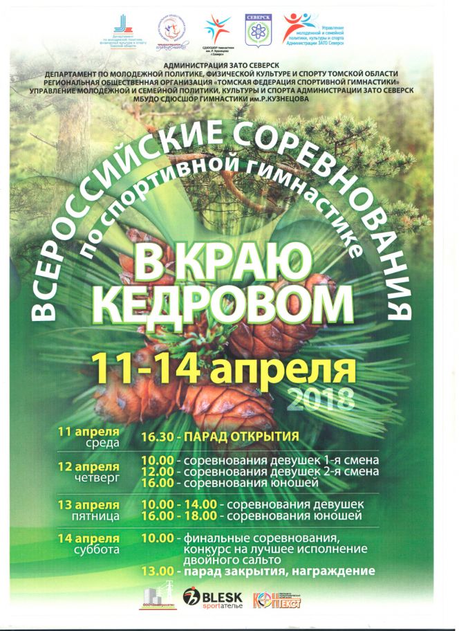 Всероссийские соревнования по спортивной гимнастике «В краю кедровом». Северск, 2018