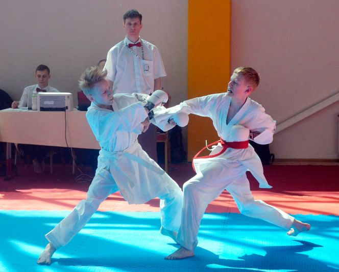 Первенство России - 2018 по всестилевому каратэ. Фото: Федерация каратэ Алтайского края