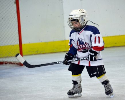 В спортивно-развлекательном комплексе «Берёзка» состоялся праздник, посвящённый Дню хоккея России (фото).