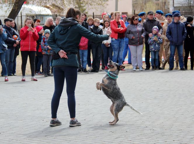 Военно-спортивный праздник "Моя Победа". 6 мая. Фото: Артур Шпак