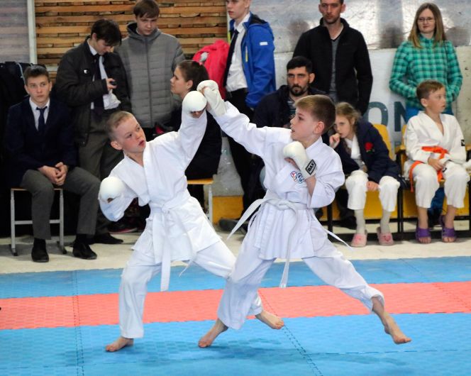 IX Международный фестиваль единоборств «Детям планеты – мир без наркотиков» и IV олимпиада боевых искусств «Сибирь – Азия». Фото: Виталий УЛАНОВ