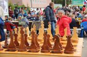 В Центральном парке Барнаула 1 июня прошёл массовый детский турнир по шахматам 