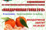 На лыжной базе «Локомотив» 29 декабря пройдут соревнования по ориентированию на лыжах «Мандариновая гонка».
