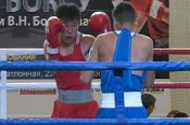 Трое алтайских боксёров выиграли титул чемпионов Сибири