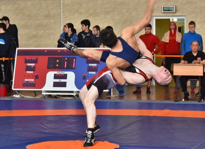 Чемпионат СФО по греко-римской борьбе. Красноярск, 2018. Фото: Александр ЧАНЧИКОВ (kraysport.ru)