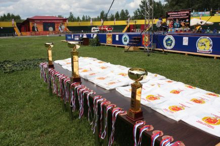 Первые Всеармейские соревнования на Кубок министра обороны РФ по спортивной борьбе. Фото: ЦСКА