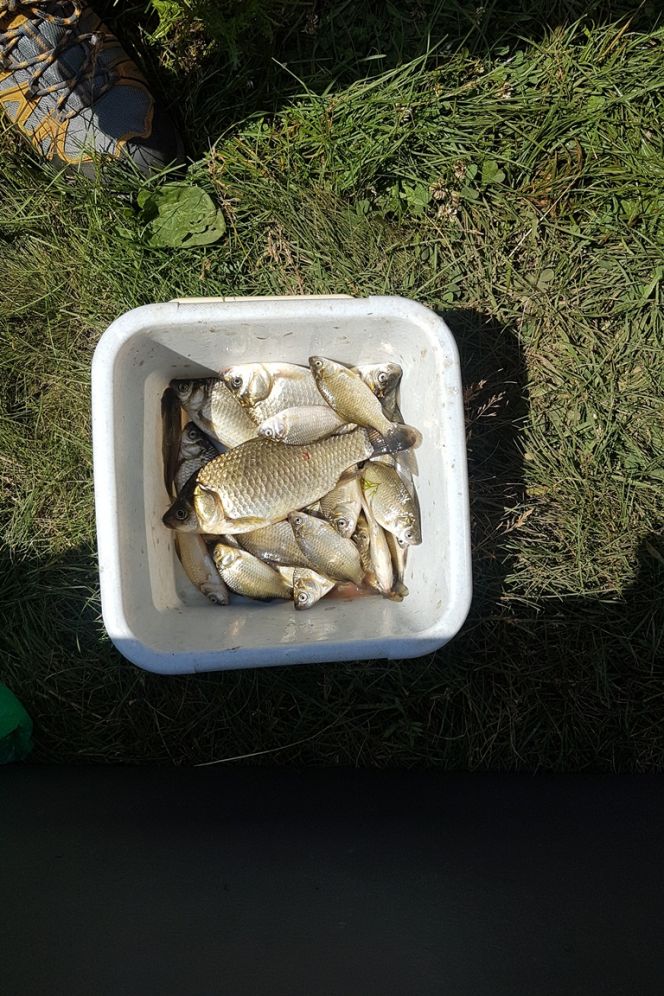 В Павловском районе прошли краевые соревнования по ловле поплавочной удочкой среди госслужащих